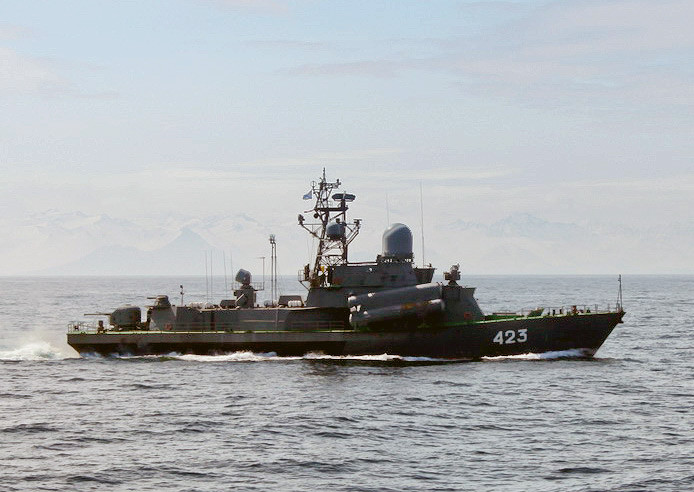 Nói là lạ bởi Đề án 12341 Nanuchka được thiết kế với hệ thống tên lửa chống hạm cùng cụm bệ phóng khác biệt hoàn toàn. Nguồn ảnh: Wikipedia