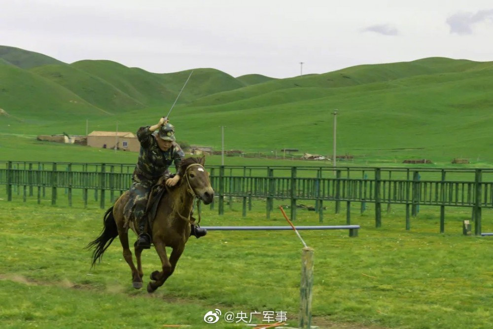 Với đặc thù nhiều núi cao, hiểm trở, đôi khi trở lại hình thức tác chiến cổ xưa – dùng ngựa lại tốt và hiệu quả hơn là dùng các loại xe cơ giới. Ảnh: bmpd