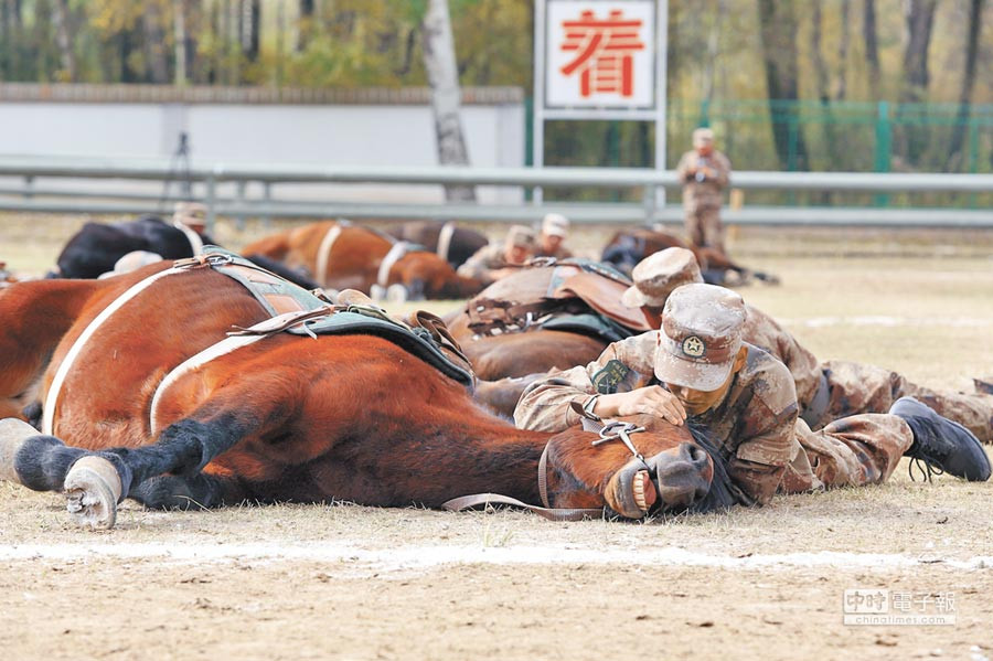 Huấn luyện ẩn nấp cùng ngựa. Ảnh: bmpd