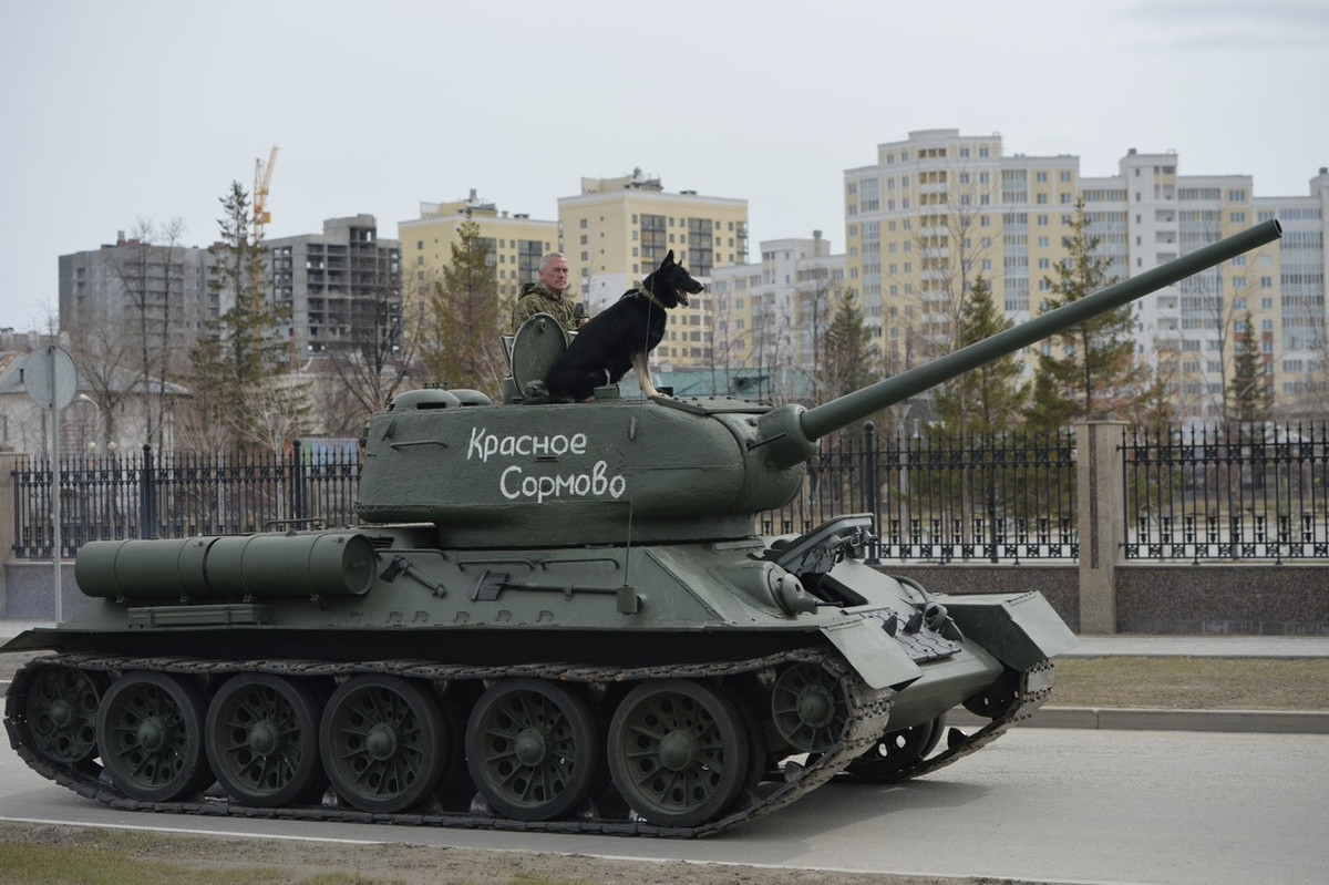 Xe tăng T-34-85 thì không hiếm nhưng chó ngồi trên tháp pháo thì không phải nơi nào cũng có.