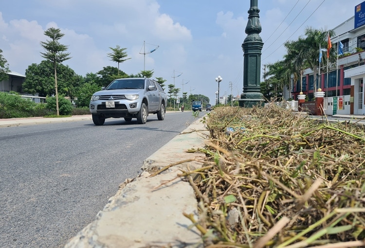 Cây cỏ dại được cắt sạch sẽ, không còn um tùm như trước đó.