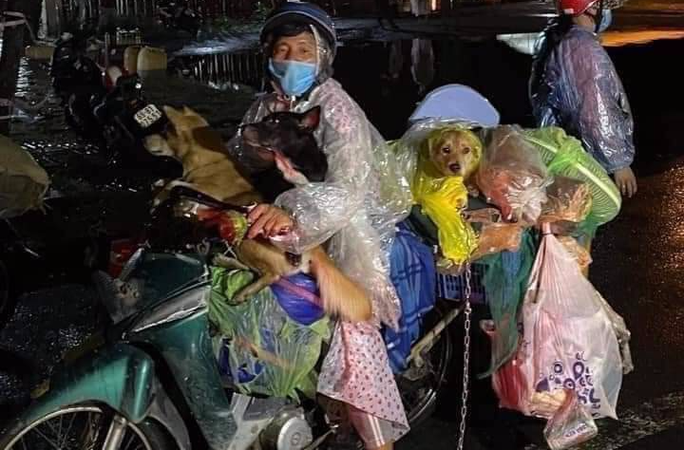 Truong tram y te noi tieu huy dan cho, meo xin nghi viec