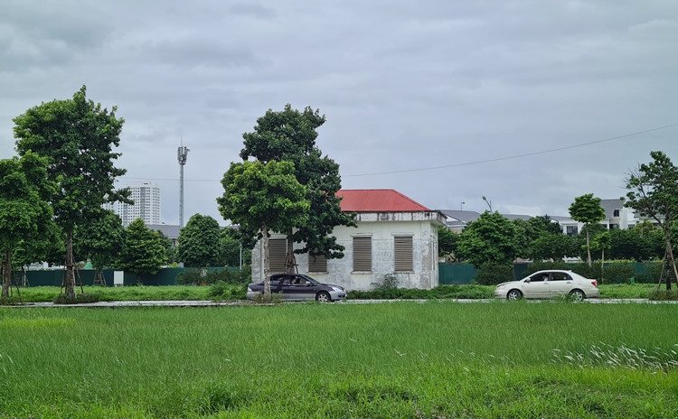 Tại một số khu đất chưa được xây dựng trở thành nơi lý tưởng cho người dân đến tập lái xe ô tô.