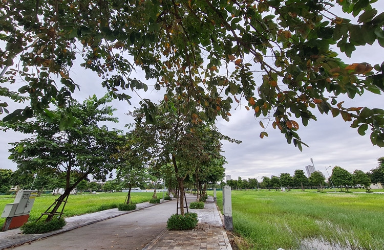 Ghi nhận ngày 17/10/2021 cho thấy, nhiều lô đất bên trong khu đô thị mới Dương Nội chưa được triển khai để cỏ dại đua nhau mọc lên.
