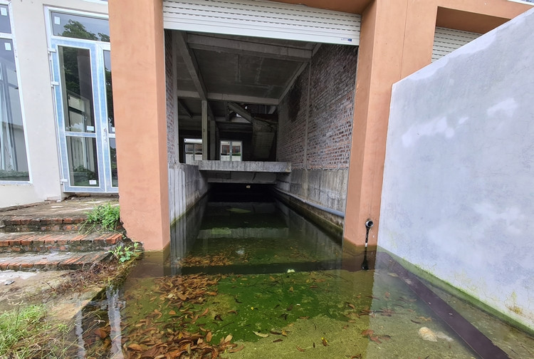 Nước mưa tù đọng tại một số căn liền kề chưa hoàn thiện.