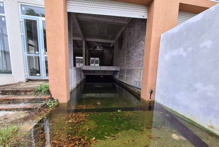 Nước mưa tù đọng tại một số căn liền kề chưa hoàn thiện.