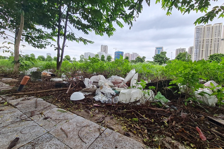 Đủ thứ rác thải vứt bừa bãi ở một số khu đất chưa xây dựng.