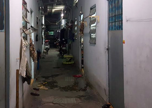 An mang chan dong: Con cat co cha ruot, goi dien bao me