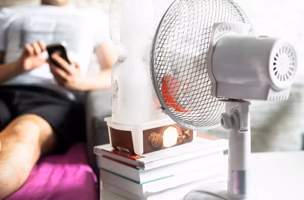 6 meo don gian va nhanh chong de danh bay cai nong trong nha-Hinh-3