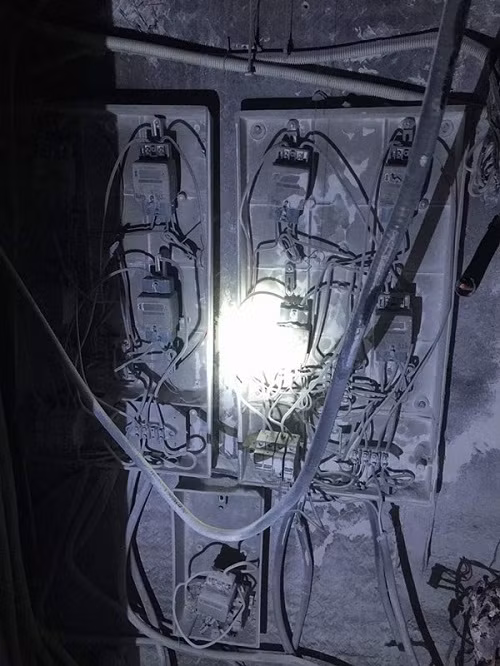 Phat hai chung cu gia re cua dai gia Than khi lien tuc chay-Hinh-2