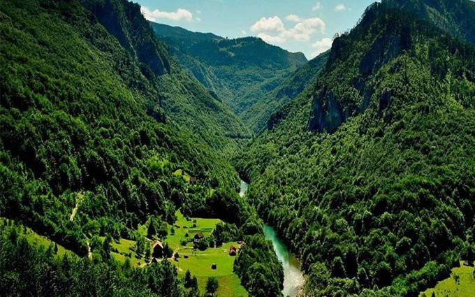 Rừng Hyrcanian, Iran: Rừng Hyrcanian là khu rừng lá rộng trải dài 850 km dọc theo bờ phía nam biển Caspi. Cách đây khoảng 25 đến 50 triệu năm trước, cánh rừng bao phủ hầu hết khu vực ôn đới ở bắc bán cầu. Sau khi bị thu hẹp trong kỷ băng hà Đệ Tứ, cánh rừng đã mở rộng trở lại khi khí hậu ôn hòa hơn. Ngày nay, Hyrcanian là môi trường sống của 180 loài chim, 58 loài động vật có vú, bao gồm cả báo Ba Tư và các loài thực vật quý hiếm. Ảnh: Tehran Times.