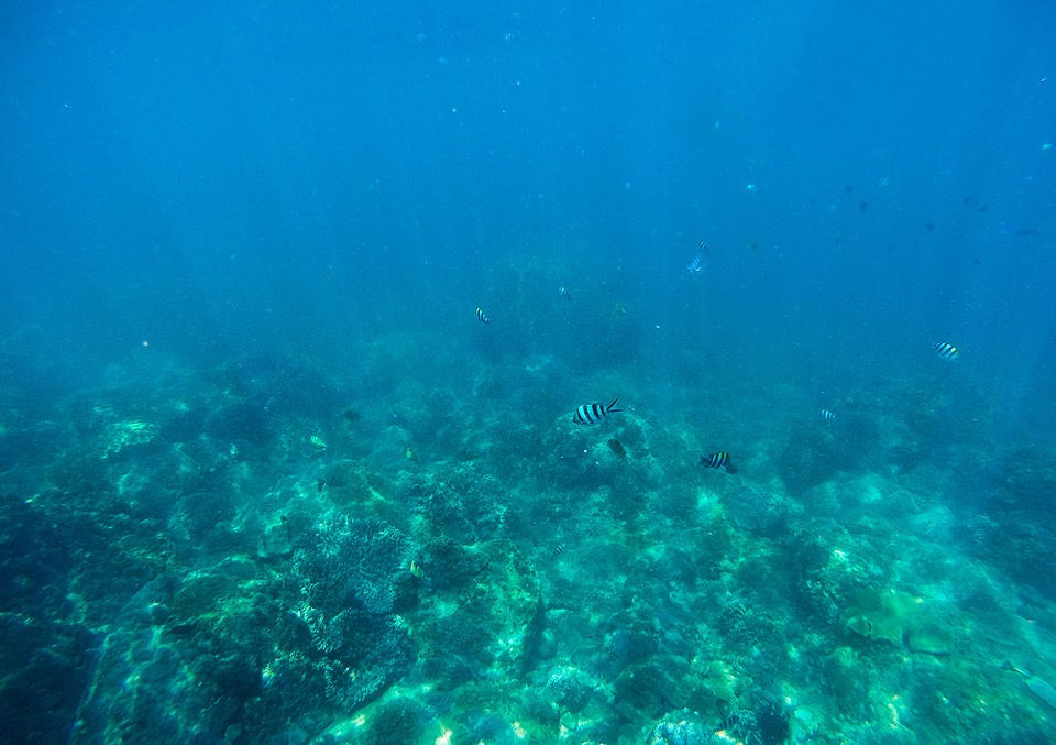 Du khách không nên bỏ lỡ khám phá xung quanh đảo Chàm (Ảnh:Midori9813).