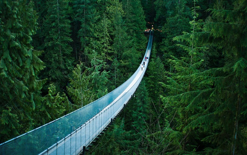 Cầu treo Capilano - Vancouver, British Columbia. Vancouver chắc chắn rất đẹp, nhưng nhiều người không thích đi qua những sườn núi dài, trên một cây cầu cách mặt đất 70m, lơ lửng phía trên một con sông.