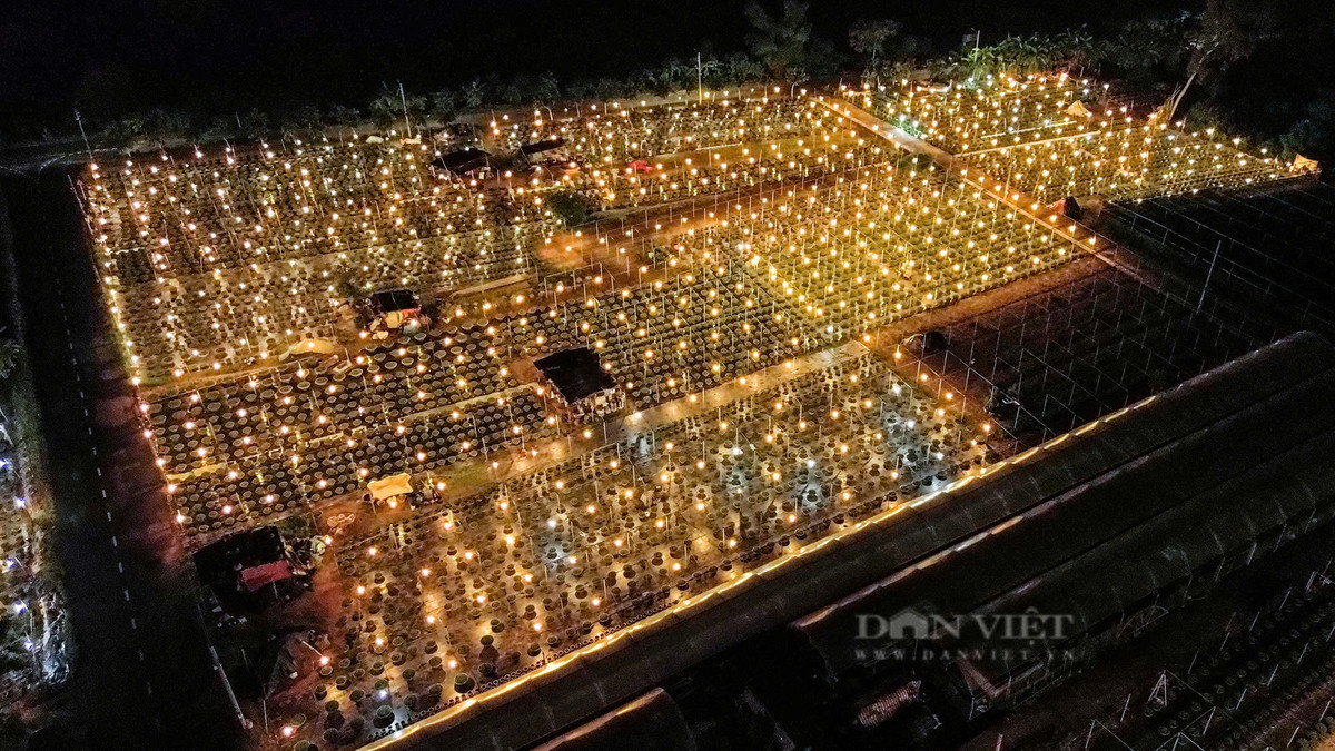 Những ánh đèn lung linh của làng hoa Dương Sơn nhìn từ trên cao.