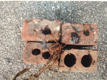 Xac nguoi duoi cong to cap vo chong sat thu mang danh 