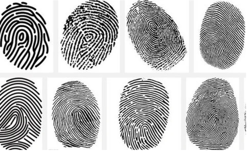 Qua xác minh, không có dấu vân tay nào trong tàng thư trùng với nữ nạn nhân kia, nghĩa là nạn nhân không phải người Hà Nam. Vụ việc lúc này trở nên phức tạp hơn, mở ra nhiều hướng điều tra mới. Thông báo truy tìm tung tích nạn nhân được phát đi khắp Hà Nam và một số tỉnh lân cận. Chỉ trong thời gian ngắn đã có tới 15 tin báo mất tích. Tuy nhiên, không có trường hợp nào trùng với nhận dạng của nạn nhân. Bất ngờ, một ki - ốt bán hàng tại bãi tắm Long Thịnh (Hải Hậu, Nam Định) có nhân viên nữ sau khi xin đi Hà Nội đã mất tích, không liên lạc được trong nhiều ngày. (Ảnh minh họa, nguồn Internet) 