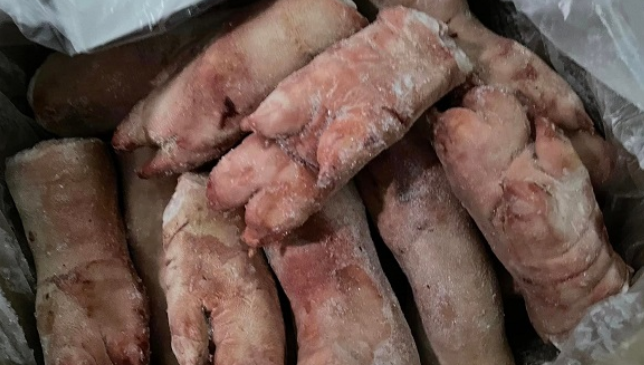 Chan ga, de muoi nguyen con het “date” 2 nam chuan bi len ban an-Hinh-2