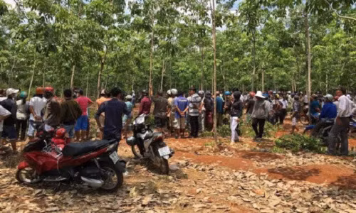 Hình ảnh minh họa.