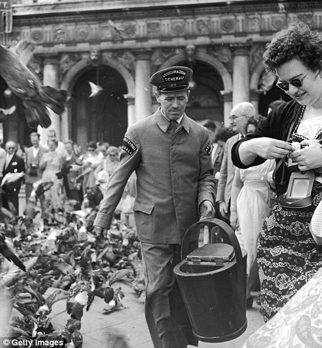 Venice là một trong những điểm đến hút khách ở Italy những năm 1950. Khách du lịch vô cùng thích thú khi nhìn thấy những con chim bồ câu sà xuống đất tìm thức ăn.