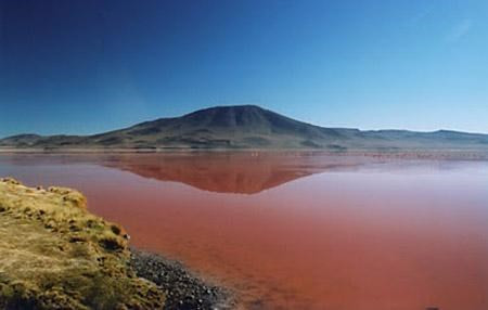 Đây là một trong những vùng đầm lầy mang tầm quan trọng quốc tế của Ramsar theo Công ước Ramsar kí kết vào năm 1971 và là một khu vực tập trung rất nhiều giống chim hồng hạc quý hiếm sinh sống và phát triển. 