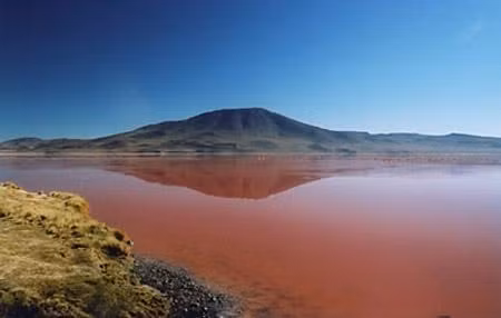 Đây là một trong những vùng đầm lầy mang tầm quan trọng quốc tế của Ramsar theo Công ước Ramsar kí kết vào năm 1971 và là một khu vực tập trung rất nhiều giống chim hồng hạc quý hiếm sinh sống và phát triển. 