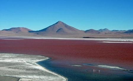 3. Hồ Colorada (Bolivia) – Đỏ một vùng trời. Hồ Colorada hay còn gọi là Hồ đỏ là một hồ muối nông nằm ở phía Tây Nam cao nguyên của Bolivia, sát với biên giới Chile. Trong hồ chứa những đảo borax nhỏ có màu trắng xóa tạo nên sự tương phản độc đáo với nước hồ đỏ quạnh mà nguyên do là tại đá trầm tích và một số loại tảo màu sinh sống trong hồ.