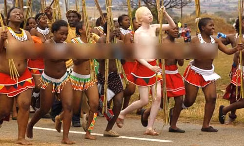 Những trinh nữ xấu số này thiệt mạng khi đang trên đường tới địa điểm tổ chức buổi tiệc khiêu vũ Reed Dance ngày 31/8. Đây là lễ hội sắc đẹp nhằm tuyển chọn vợ của nhà vua Mswati.