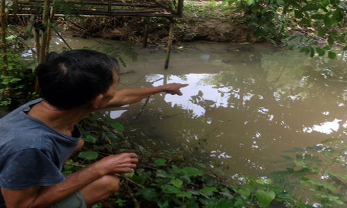Tuc vo, cha nem con xuong ao truoc nha