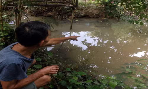 Tuc vo, cha nem con xuong ao truoc nha