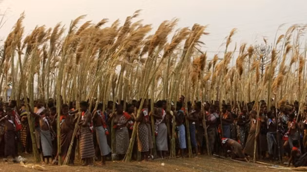 Trong số 14 người vợ của vua Mswati III, ba người trong số đó đã rời khỏi gia đình hoàng tộc của nhà vua của đất nước nằm ở đông nam lục địa đen này.