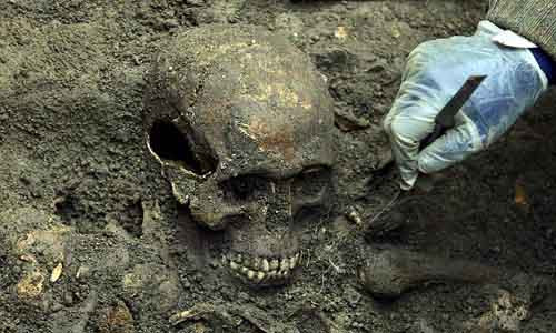 Phat hien soc ve ngoi mo tap the the ky 17 o Anh