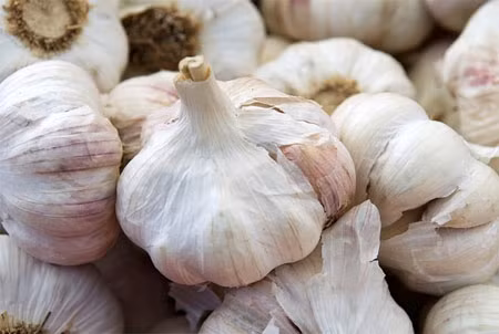 Giã nát 2 nhánh tỏi để lấy nước nguyên chất. Sau đó, trộn với 1 muỗng cà phê mật ong, khuấy đều cho hỗn hợp tan vào nhau. Rửa mặt thật khô. dùng bông gòn thấm vào hỗn hợp thoa đều lên vùng có mụn. Sau đó, dùng tay massage nhẹn nhàng cho dung dịch thấm đều lên da. Để khoảng 10-15 phút sau rồi rửa sạch bằng nước ấm.