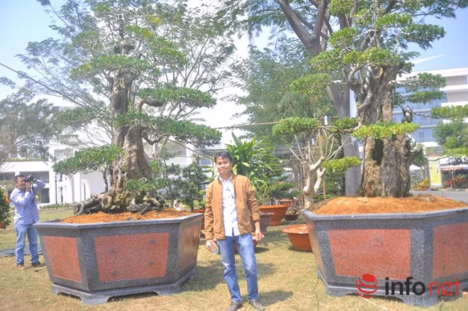 Rất đông người dân tham quan, chụp ảnh cùng 2 cây khế "khủng".