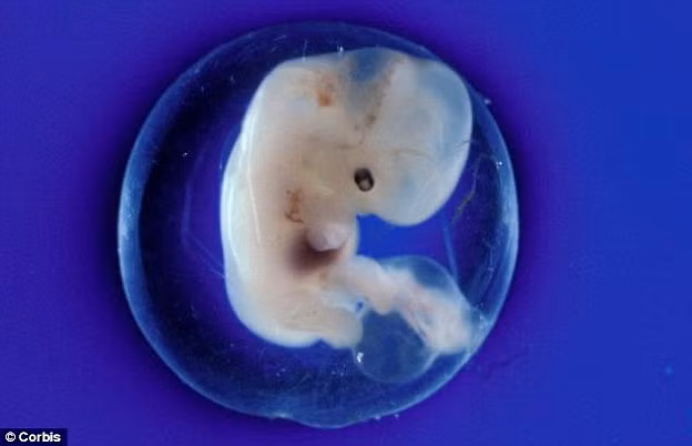 Thông thường túi ối sẽ bị vỡ ra khi người phụ nữ đến thời kỳ đau đẻ.