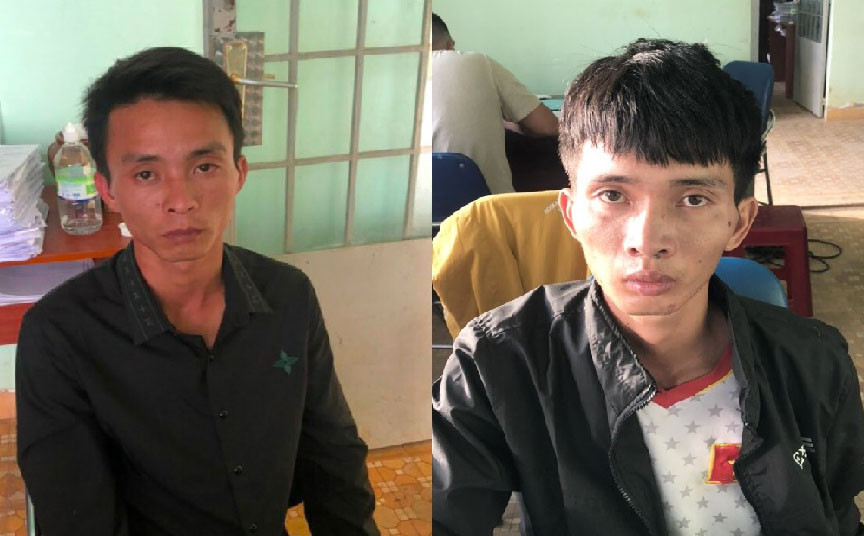  Hai anh em rủ nhau đi trộm bò: Đỗ Ngọc Nam (28 tuổi, ngụ thị trấn Nam Ban, Lâm Đồng) và Đỗ Đình Ban (26 tuổi, em trai của Nam) lái xe máy đến khu vực đồi người dân chăn thả gia súc ở xã Phi Tô (huyện Lâm Hà) với ý định trộm bò. Khi thấy người dân sơ hở, 2 thanh niên này đã bắt trộm một con bò lai nặng 210kg của gia đình ông K’Linh. Khi đang tìm cách đưa bò đi tiêu thụ thì cả Nam và Ban bị lực lượng Công an bắt giữ. Ngày 7/6, 2 đối tượng này đang bị Công an huyện Lâm Hà tạm giữ để điều tra. 