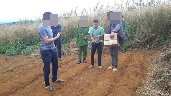  Trồng hàng nghìn mét vuông cây cần sa để... nuôi heo: Ngày 24/12/2020, Công an huyện Đắk G'long, Đắk Nông đã kiểm tra và bắt quả tang Trần Thế Đại và Phạm Văn Sơn đang trồng, chăm sóc cây cần sa trái phép tại khu vực đất rẫy thuộc xã Quảng Sơn. Công an phát hiện 1.263 cây cần sa, được trồng trên diện tích gần 1.000m2, trong khu vực đất rẫy và 215 cây cần sa con đang ươm trong các bịch nilon cùng một số vật dụng liên quan. Các đối tượng khai nhận, mục đích để “phục vụ việc chữa bệnh cho vật nuôi, cho heo, gà ăn cho mau lớn”....