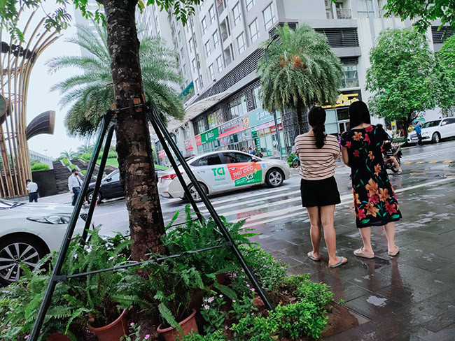 Trao đổi với PV Báo Tri Thức và Cuộc Sống, một lãnh đạo Công an quận Hoàng Mai (Hà Nội) xác nhận vụ nữ giúp việc rơi từ tầng 18 chung cư Park 8 Times City xuống đất tử vong và cho biết hiện đang được cơ quan chức năng điều tra, làm rõ. 