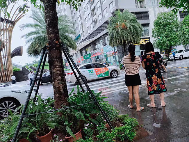 Trao đổi với PV Báo Tri Thức và Cuộc Sống, một lãnh đạo Công an quận Hoàng Mai (Hà Nội) xác nhận vụ nữ giúp việc rơi từ tầng 18 chung cư Park 8 Times City xuống đất tử vong và cho biết hiện đang được cơ quan chức năng điều tra, làm rõ. 