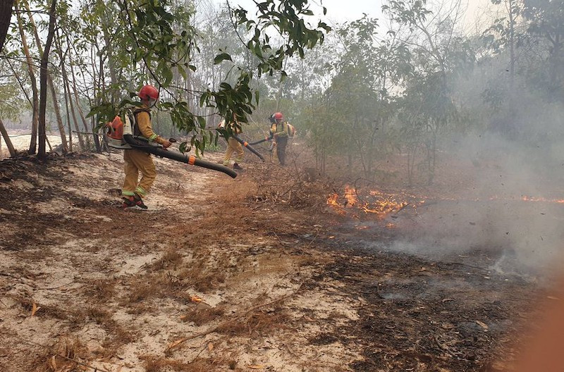  Cháy hàng chục hecta rừng phòng hộ ven biển: Sáng 4/6, một đám cháy nhỏ phát ra ở khu vực xã Bình Trung, huyện Thăng Bình, Quảng NAM. Do thời tiết nắng nóng gay gắt cùng gió Tây Nam thổi mạnh nên đám cháy bùng phát mạnh và lan nhanh. Vệt lửa kéo dài khoảng gần 1 km, lan sang các khu vực lân cận thuộc xã Bình Sa, Bình Nam (huyện Thăng Bình) và chỉ bị chặn lại khi cắt ngang với đường Võ Chí Công. 