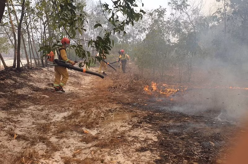  Cháy hàng chục hecta rừng phòng hộ ven biển: Sáng 4/6, một đám cháy nhỏ phát ra ở khu vực xã Bình Trung, huyện Thăng Bình, Quảng NAM. Do thời tiết nắng nóng gay gắt cùng gió Tây Nam thổi mạnh nên đám cháy bùng phát mạnh và lan nhanh. Vệt lửa kéo dài khoảng gần 1 km, lan sang các khu vực lân cận thuộc xã Bình Sa, Bình Nam (huyện Thăng Bình) và chỉ bị chặn lại khi cắt ngang với đường Võ Chí Công. 
