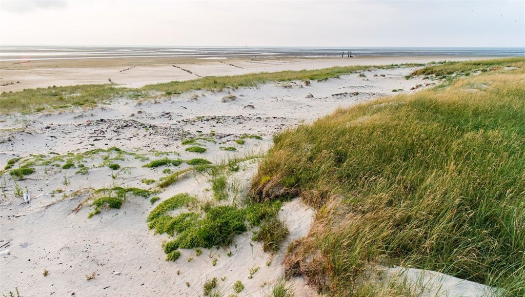 Hòn đảo Scharhorn nằm trên Biển Bắc và thuộc quyền sở hữu của Đức, tuy nhiên hòn đảo này bị cấm tiếp cận. 