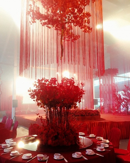 Một số người bày tỏ sự thích thú, ghen tị, ước ao với đám cưới siêu sang này. Ngược lại cũng có không ít cư dân mạng chê trách rằng cách tổ chức đám cưới quá phô trương mà không sang trọng, có thể khiến nhiều người chú ý nhưng không ngưỡng mộ.