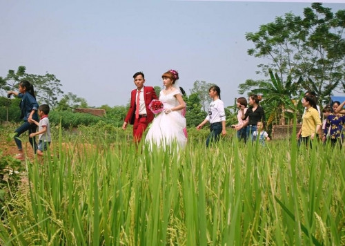 "Đám cưới trên làng quê".