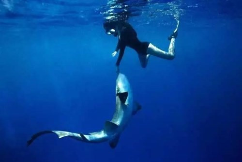 Kỷ niệm Dou Dou nhớ nhất là lần thoát chết khi bình oxy của Dou Dou bất ngờ phát nổ trong lúc cô lặn dưới Biển Đỏ (ngoài khơi Sudan). Cô cho hay chính sự nhanh trí của người bạn đồng hành đã cứu sống mình.