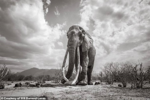 Những bức ảnh được chụp vào tháng 8/2017 nhưng tới tận bây giờ, sau gần 2 năm chúng mới được công bố.