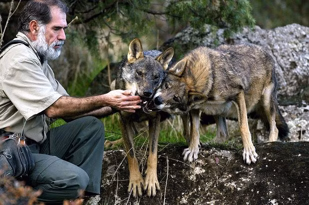 Hoa ra day la ly do cho phuc tung con nguoi