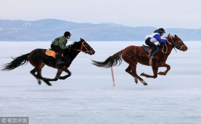 Ngày 16/3 vừa qua, cuộc đua ngựa trên băng nghiệp dư thường niên đã được tổ chức trên sân băng ở Krasnoyarsk. Được biết, đây là thành phố hiện đại, lớn thứ 3 Siberia sau Novosibirsk và Tomsk với hơn 1 triệu dân và là một trong những trung tâm chế biến nhôm lớn nhất của LB Nga.