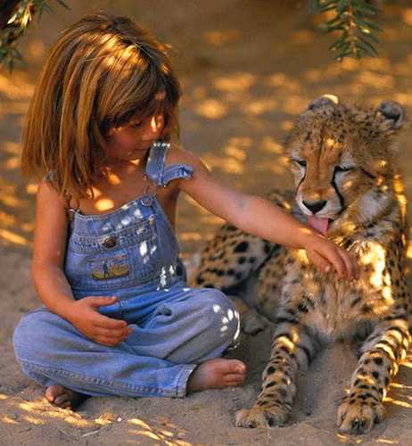 Tippi nay đã trưởng thành và vẫn dành tình yêu với các loài động vật.