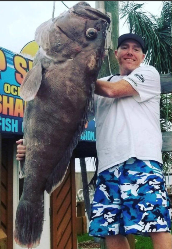 Sieu ca to khung khiep bi tom gon ngoai khoi