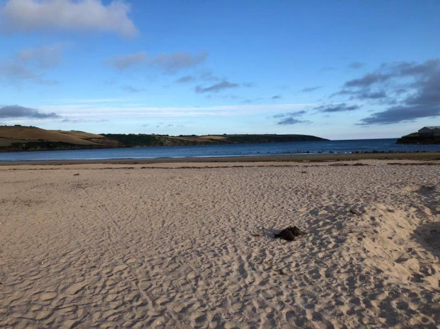 Rác thải nhựa nói chung và ống hút nói riêng có tuổi thọ còn lớn hơn cả con người, khi bị vứt ra ngoài môi trường, sẽ âm thầm giết hết môi trường sống của các sinh vật biển, về lâu dài ảnh hưởng cả gián tiếp và trực tiếp tới con người.